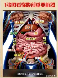 Ning首轮对皇社确定将结果意外(Ning说Chovy一到大赛就拉胯)